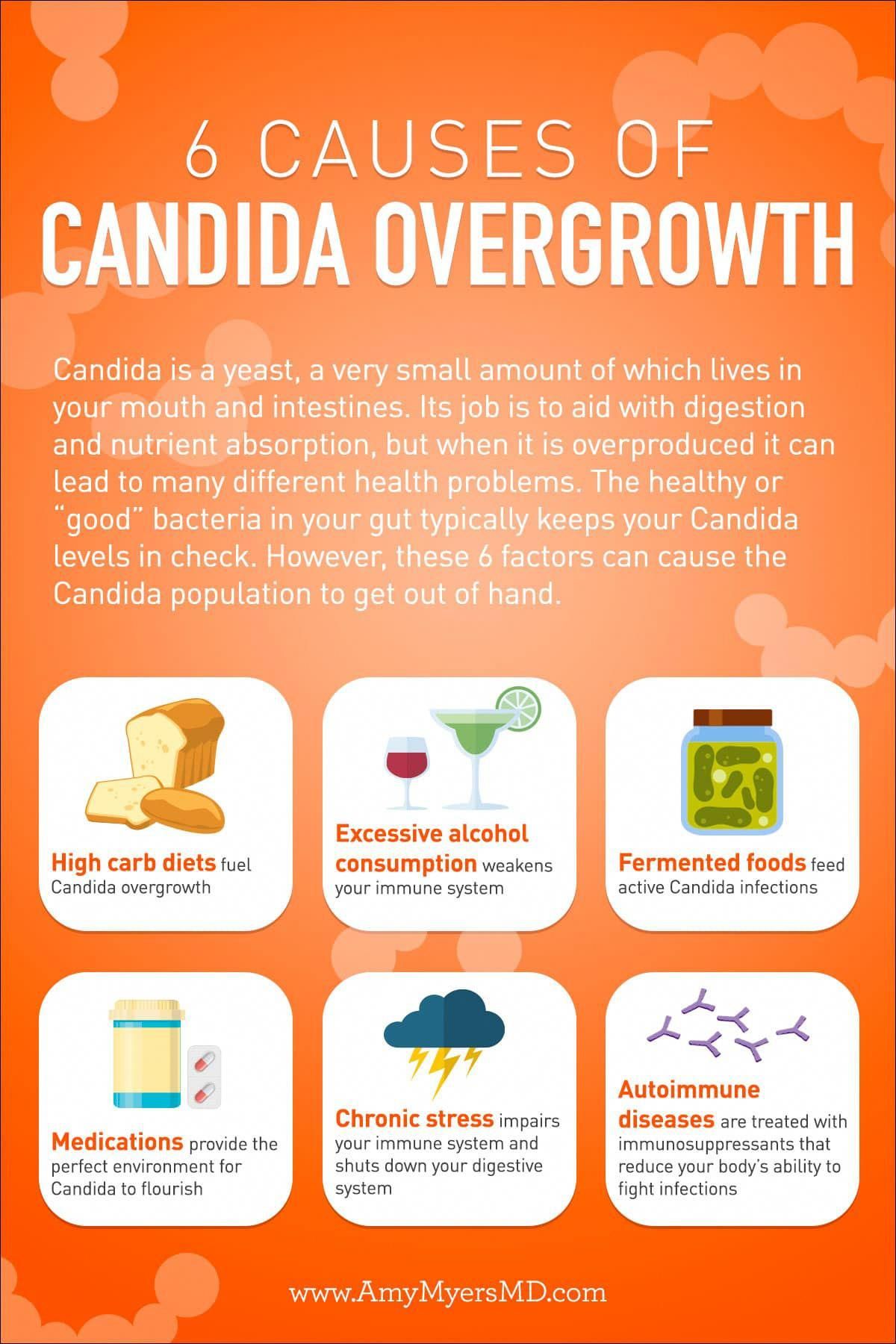 10 Signs You Have Candida Overgrowth &  How to Eliminate It ...