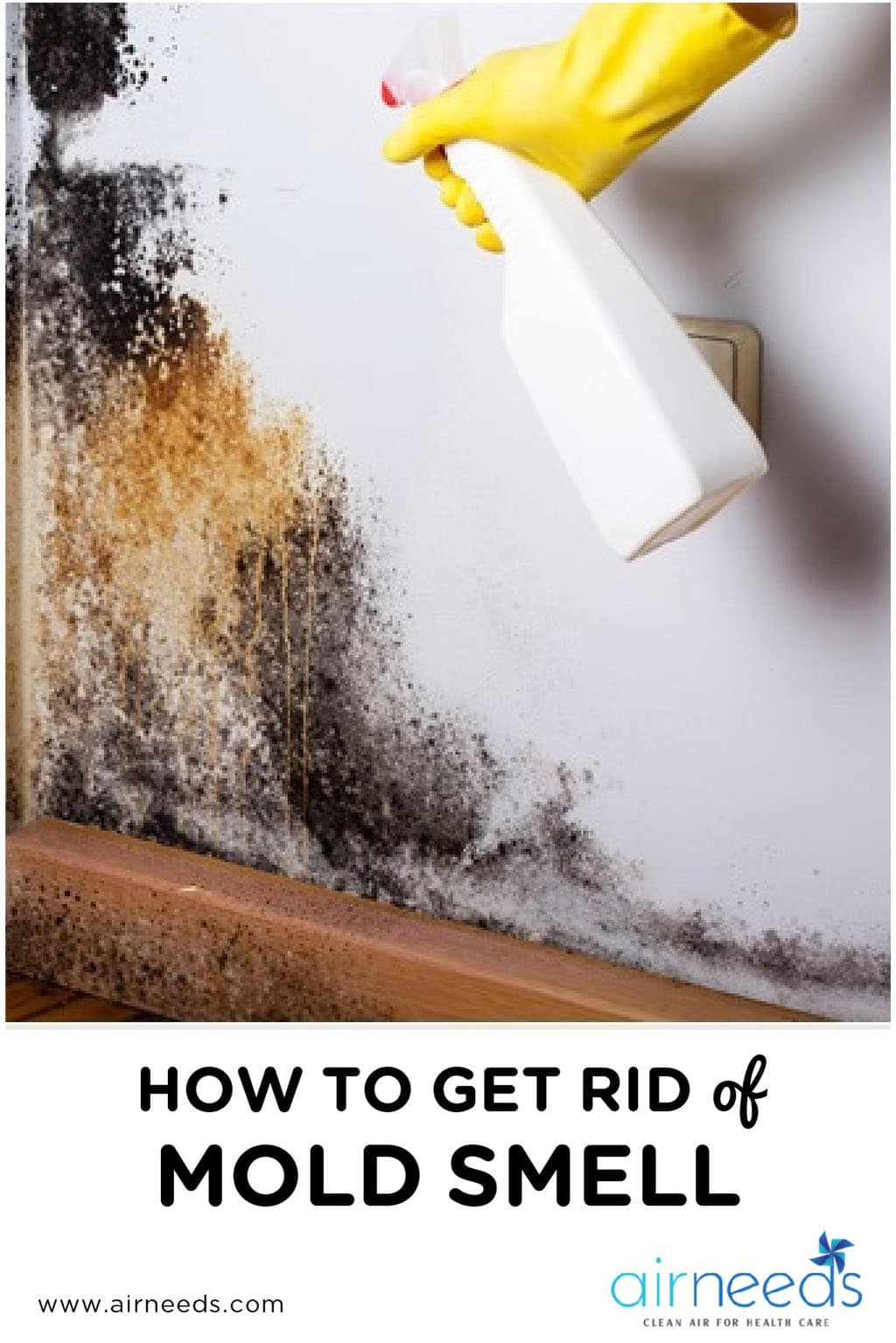 4 Tips on How to Get Rid of Mold Smell in the House