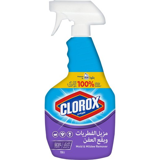 Buy Clorox Multipurpose Cleaner Mold and Mildew Remover ...