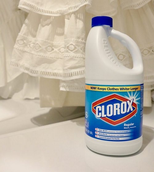 Does Clorox Kill Mold