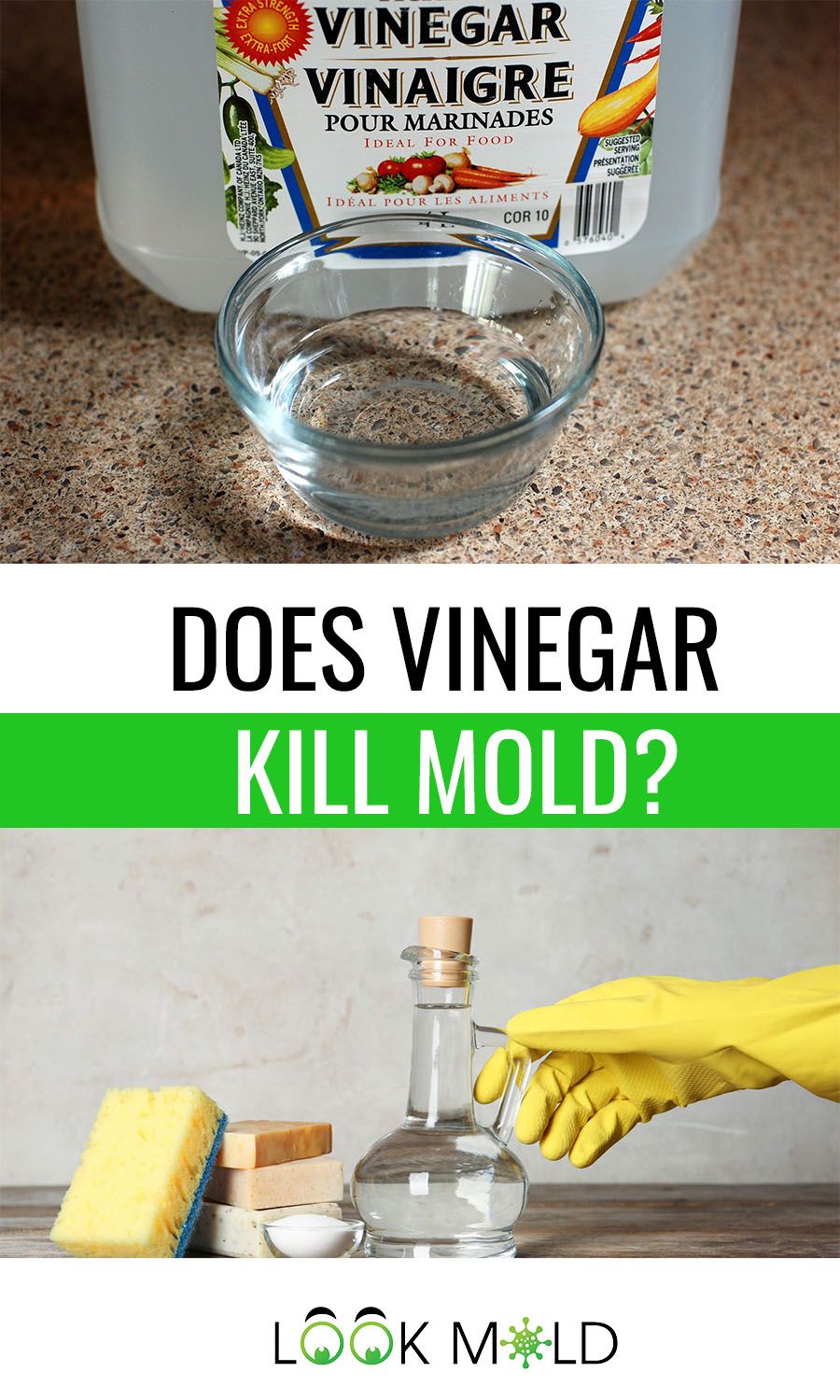 Does Vinegar Kill Mold? What You Need To Know in 2020