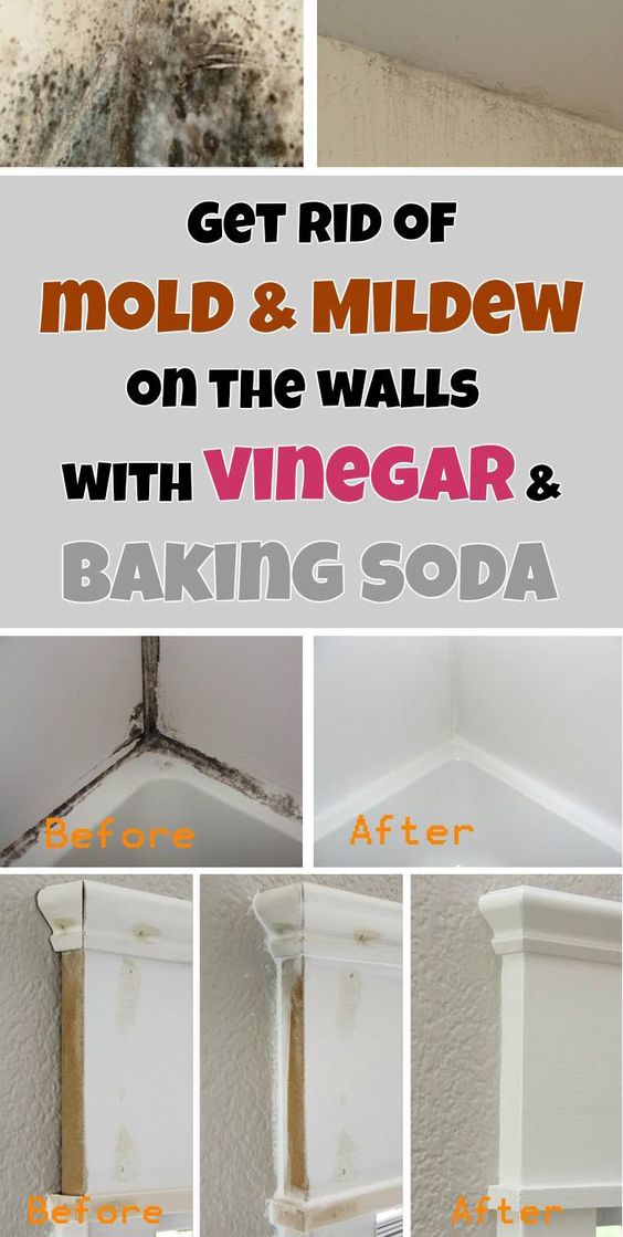 Get rid of mold &  mildew on the walls with vinegar and ...