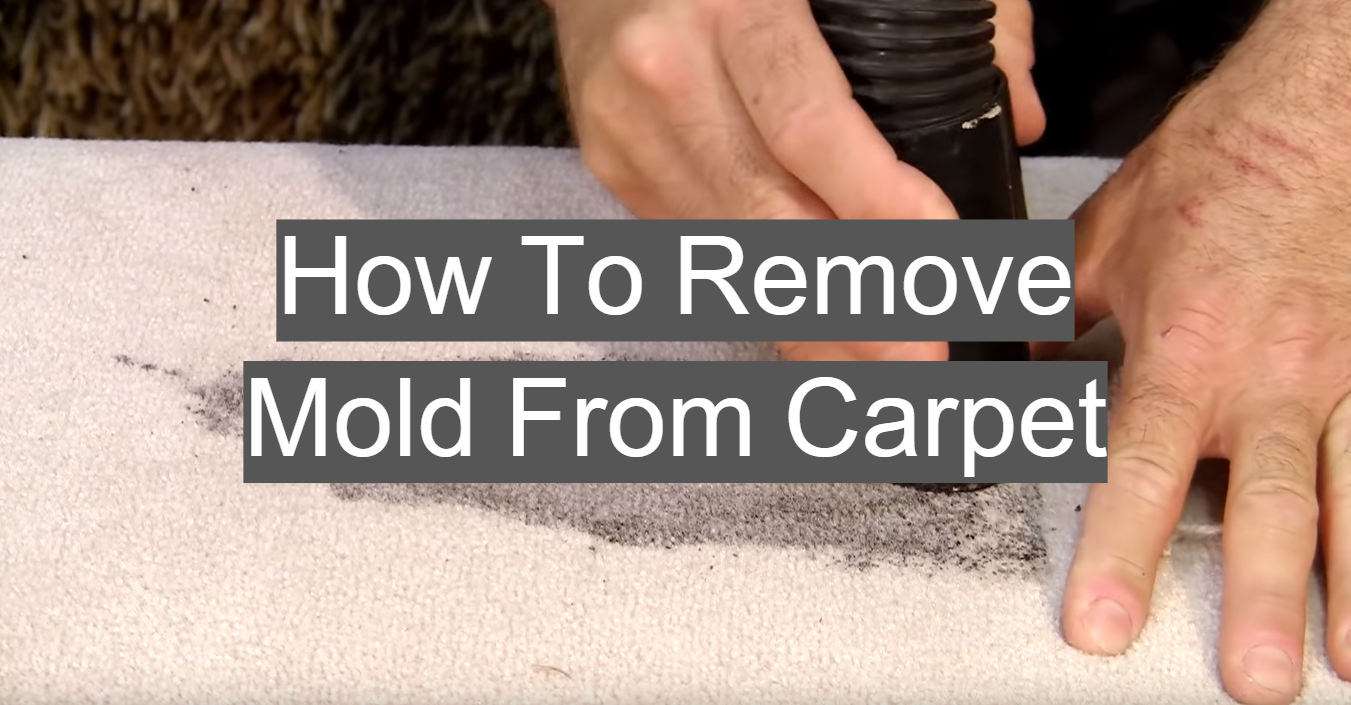 [Guide] How To Remove Mold From Carpet