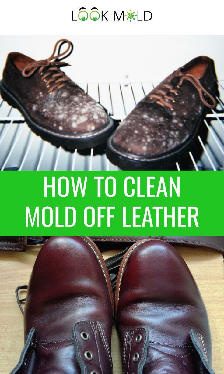 How To Clean Mold Off Leather In Four Easy Steps ...