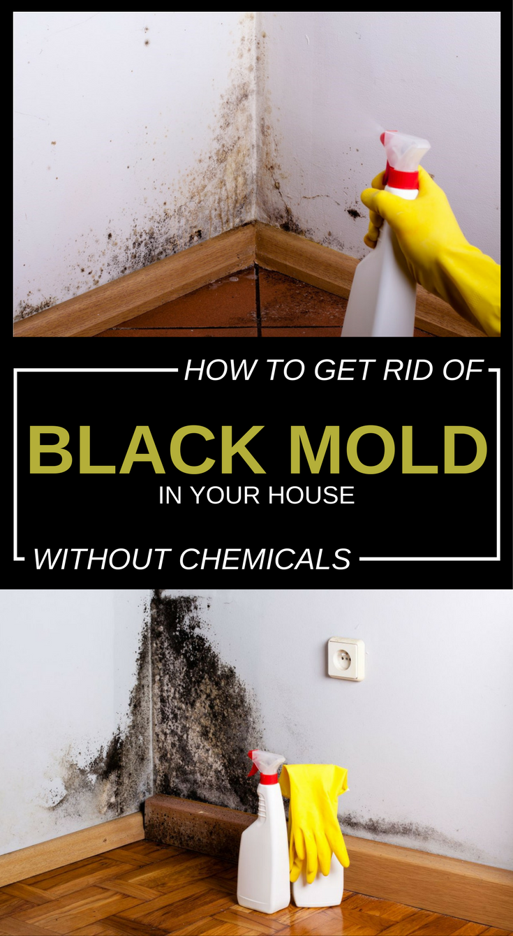How To Get Rid Of Black Mold In Your House Without Chemicals ...