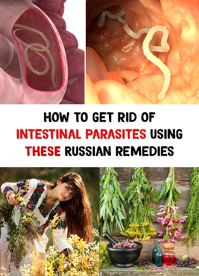 How to get rid of intestinal parasites using THESE Russian ...