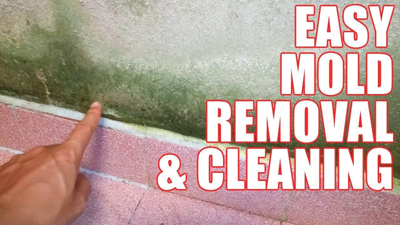 How to Get Rid of Mold in House  Cleaning &  Removing Mold ...