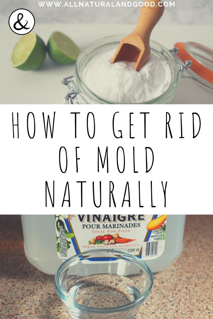 How to Get Rid of Mold Naturally