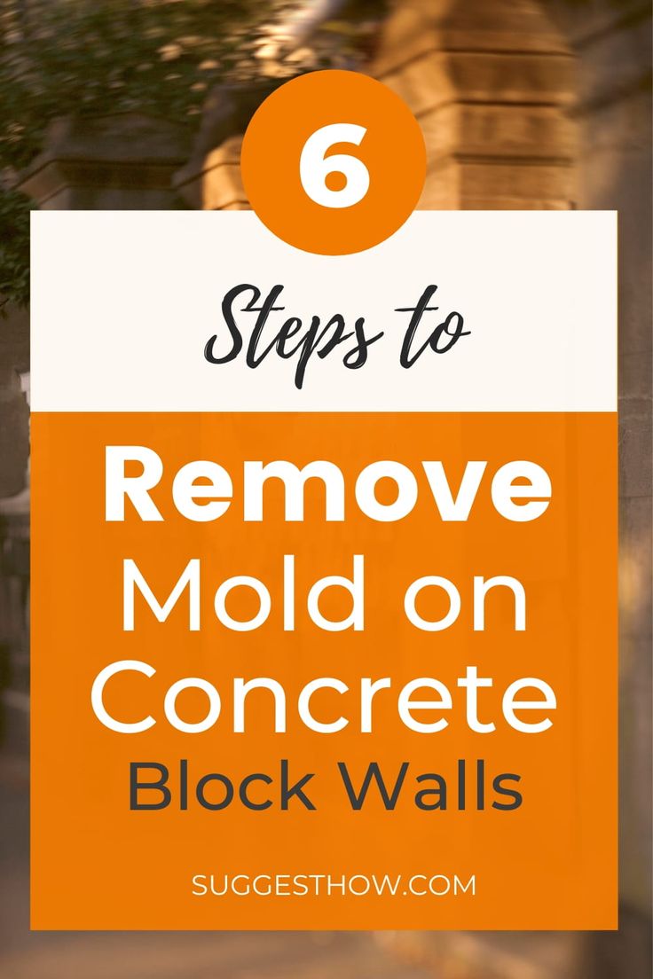 How to Get Rid of Mold on Concrete Block Walls  Step by ...