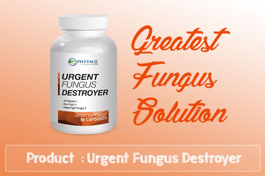 Urgent Fungus Destroyer Review  Does It Really Treat Fungus Infection?